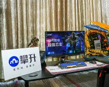 MATIC刷新年度新高，攀升幅高达301%，还能否继续追涨？-九游体育