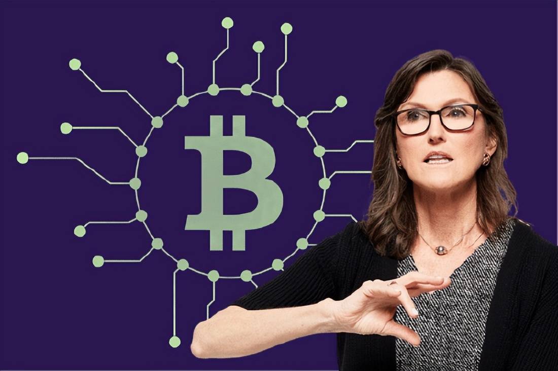 关于专家称Coinbase将在年底冲破162美元，引发引发关注的信息-九游体育